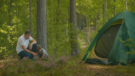Father-teaches-a-boy-of-3-years-to-set-up-a-tent-in-a-hike-in-the-pine-forest.-Father-and-son-put-up-a-tent-together-for-the-night-in-the-woods